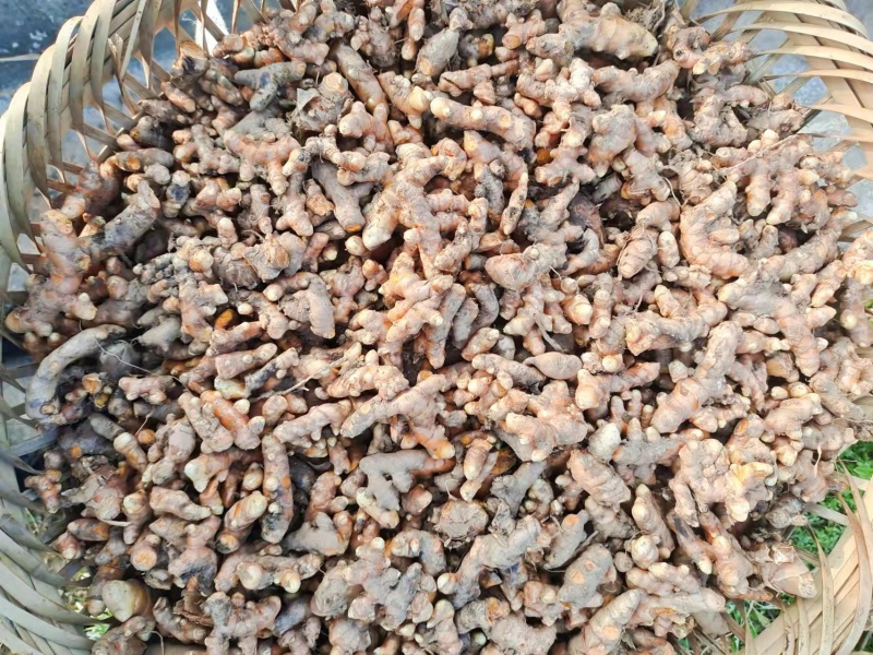 正宗麻柳场小黄姜，纯度高的很，算是驰名品牌，货源十分充足