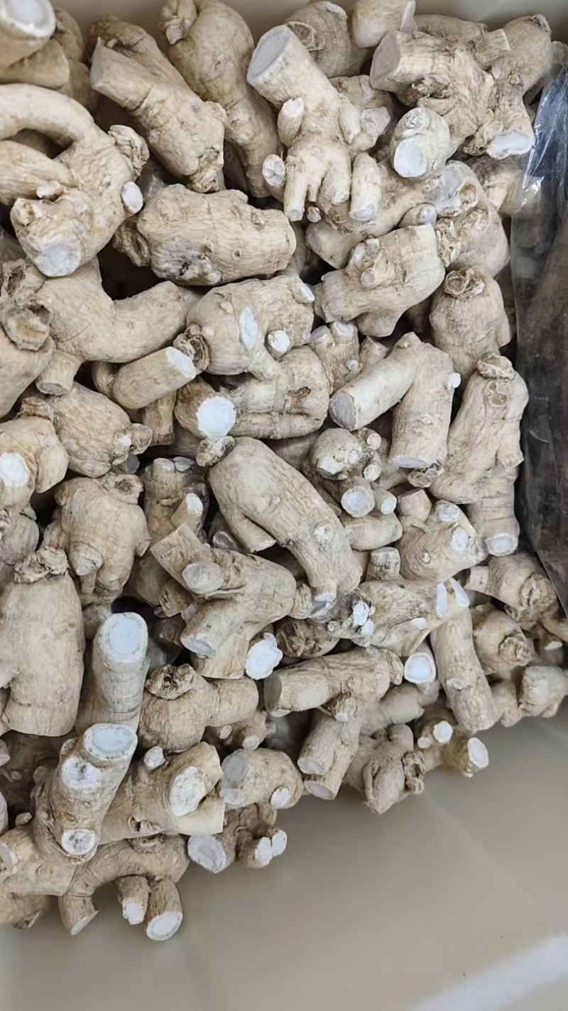 西洋参，粒头规格齐全，实物拍摄货真价实如假包换批发零售