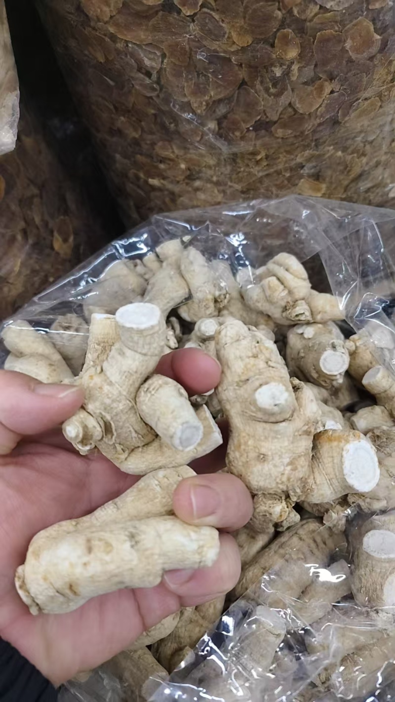 西洋参，粒头规格齐全，实物拍摄货真价实如假包换批发零售