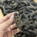 大连纯无盐，国标好货