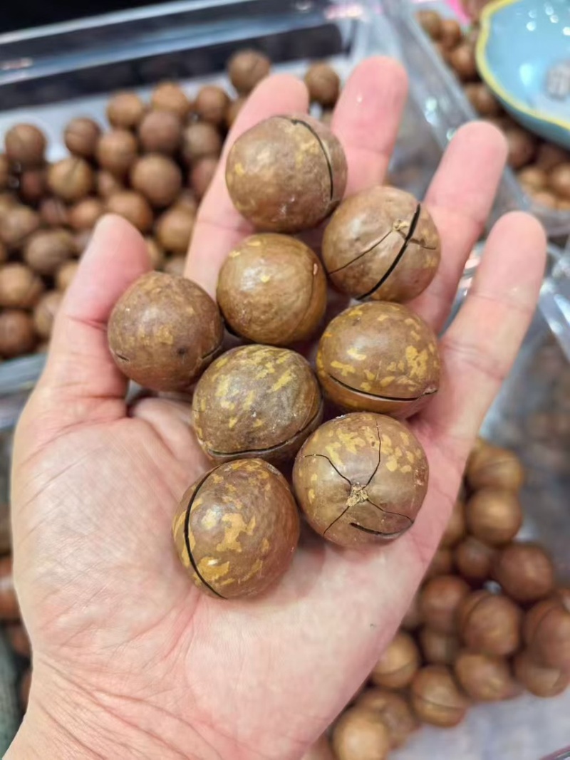 奶香味夏威夷果