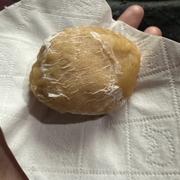 鸡宝