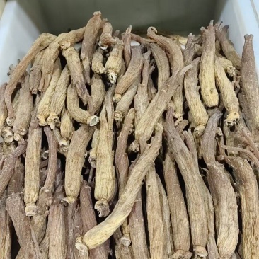 红参个，高丽参个，长白山红参，规格齐全实物拍摄如假包换