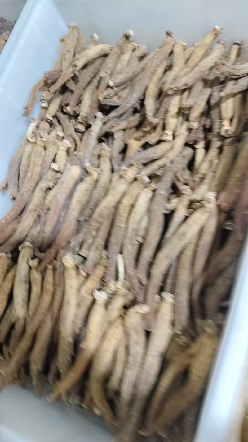红参个，高丽参个，长白山红参，规格齐全实物拍摄如假包换