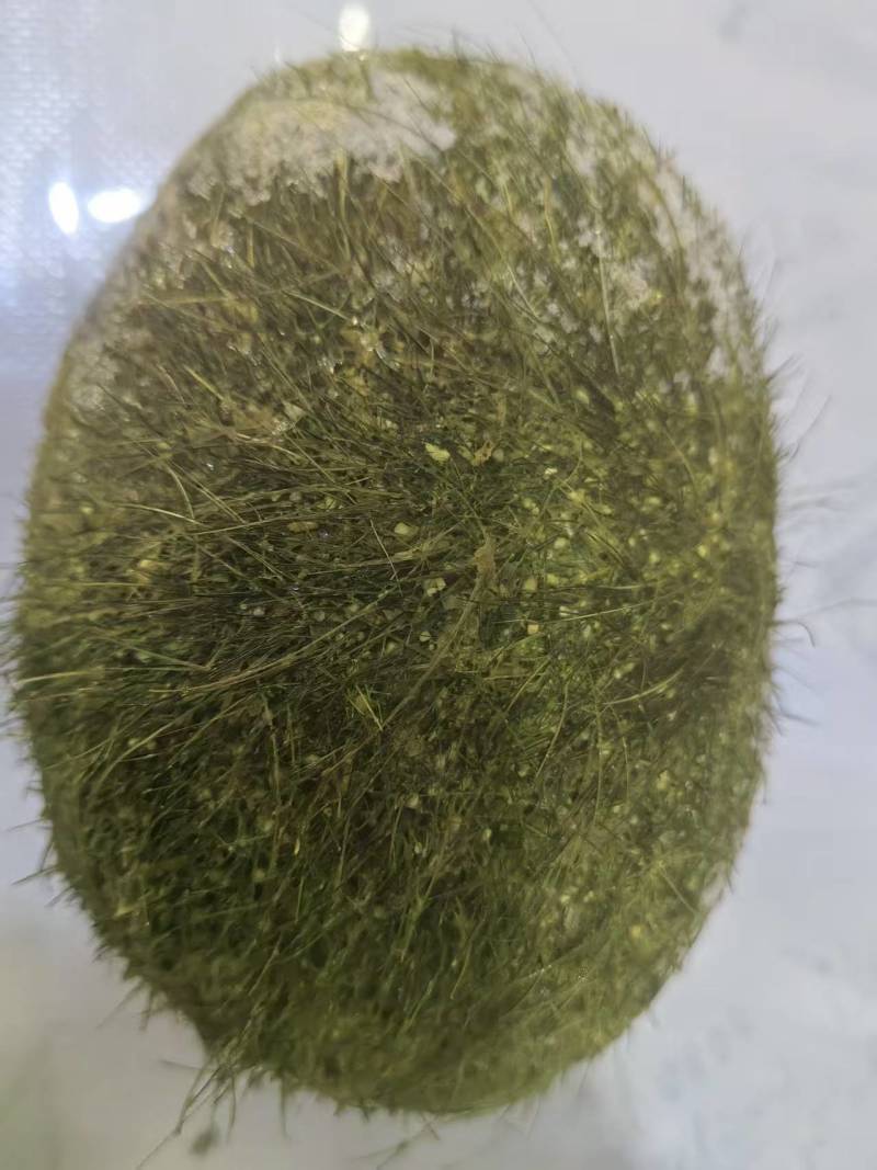 猪宝