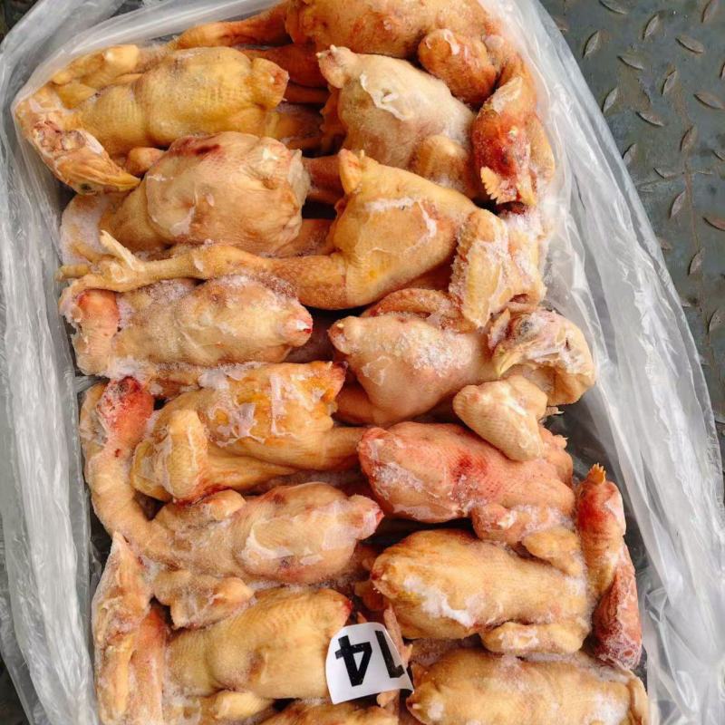 三黄鸡