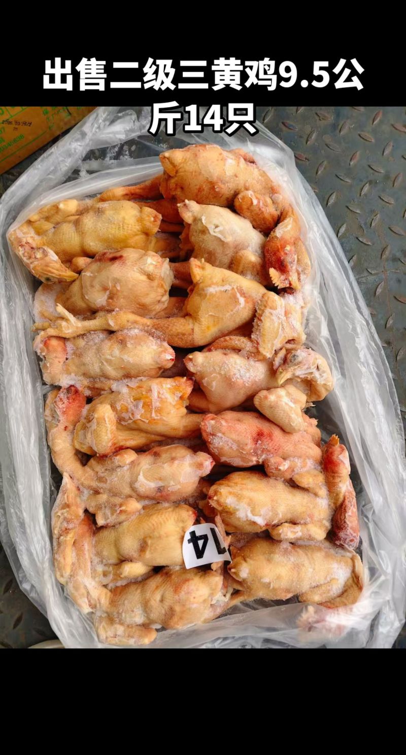 三黄鸡