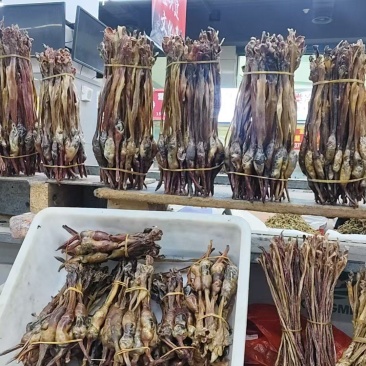 狗鞭，中药狗鞭干，干狗鞭实物拍摄如假包换
