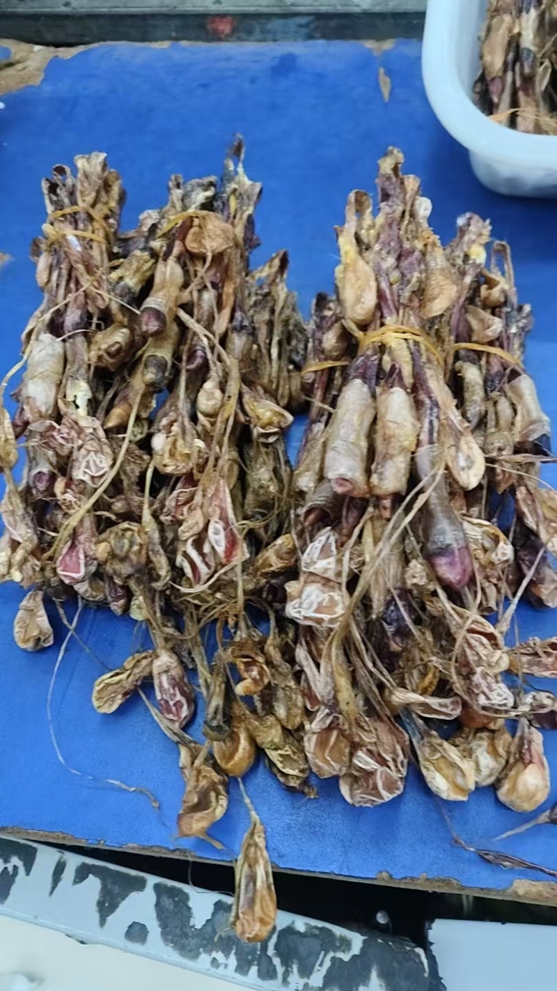 狗鞭，中药狗鞭干，干狗鞭实物拍摄如假包换