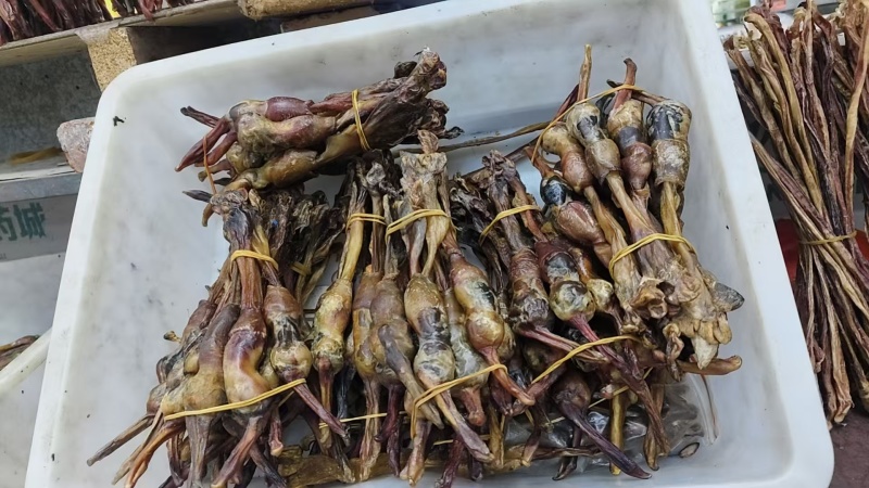 狗鞭，中药狗鞭干，干狗鞭实物拍摄如假包换