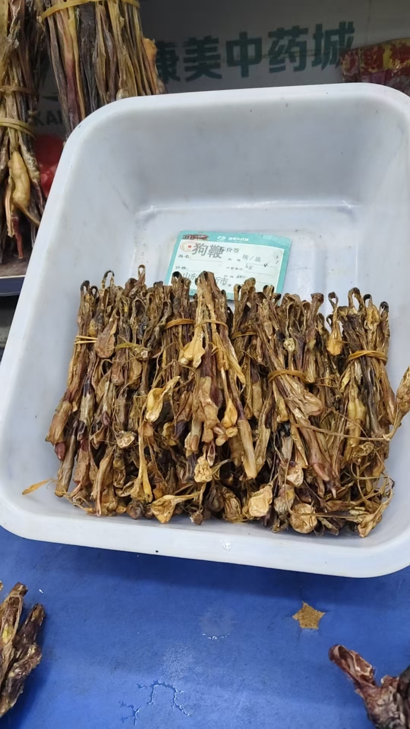 狗鞭，中药狗鞭干，干狗鞭实物拍摄如假包换