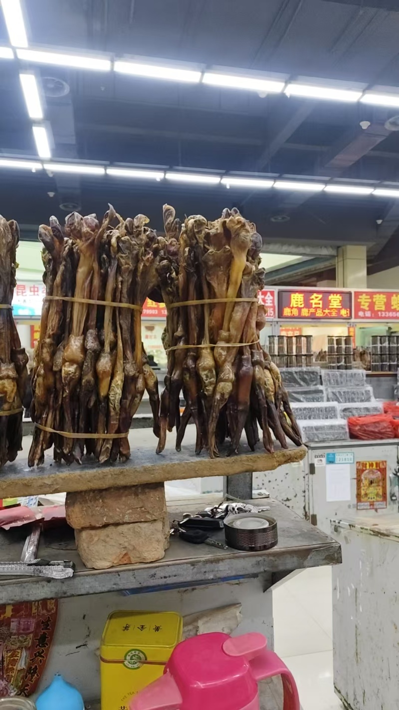 狗鞭，中药狗鞭干，干狗鞭实物拍摄如假包换