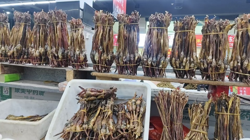 狗鞭，中药狗鞭干，干狗鞭实物拍摄如假包换