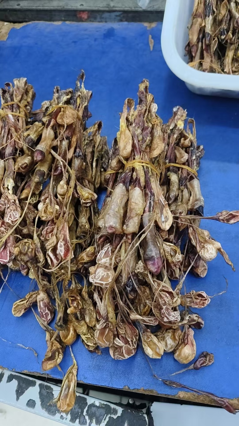 狗鞭，中药狗鞭干，干狗鞭实物拍摄如假包换