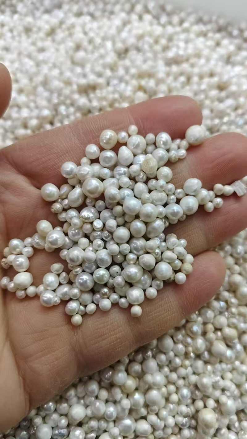 珍珠，珍珠打粉，批发零售量大从优实物拍摄如假包换