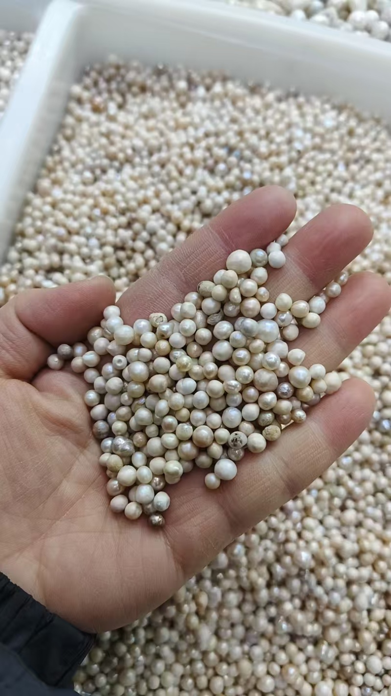 珍珠，珍珠打粉，批发零售量大从优实物拍摄如假包换