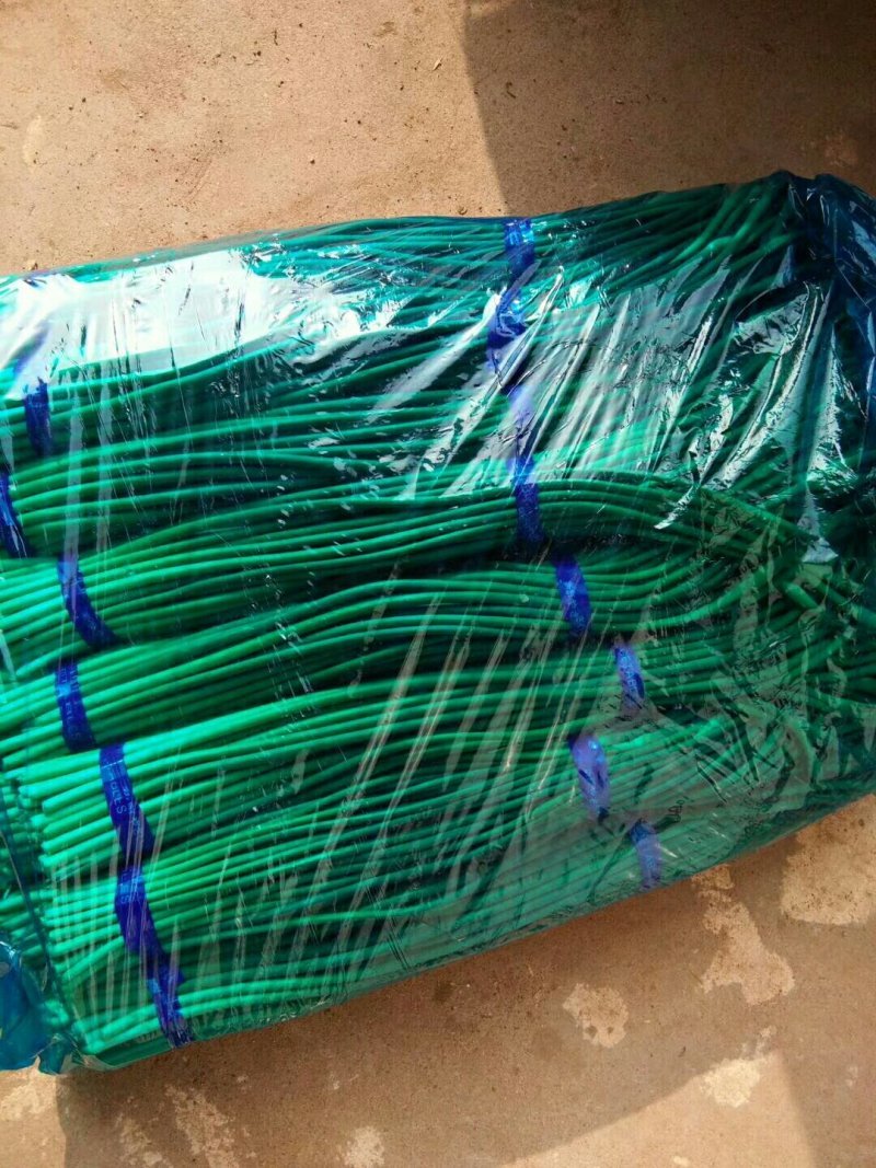 山东冷库蒜薹白帽红帽蒜苔货源充足保质保量全国发货