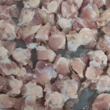 鸡膝软骨掌中宝