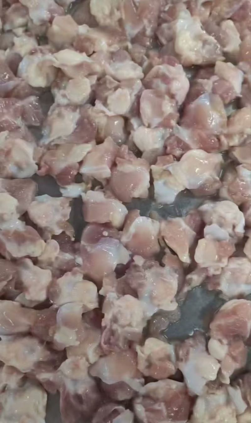 鸡膝软骨掌中宝