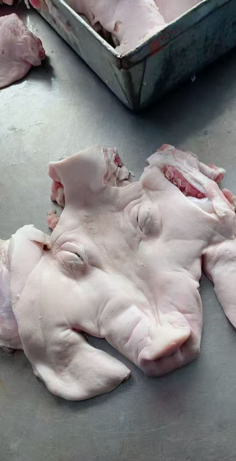 生猪脸肉10件起发210元20斤