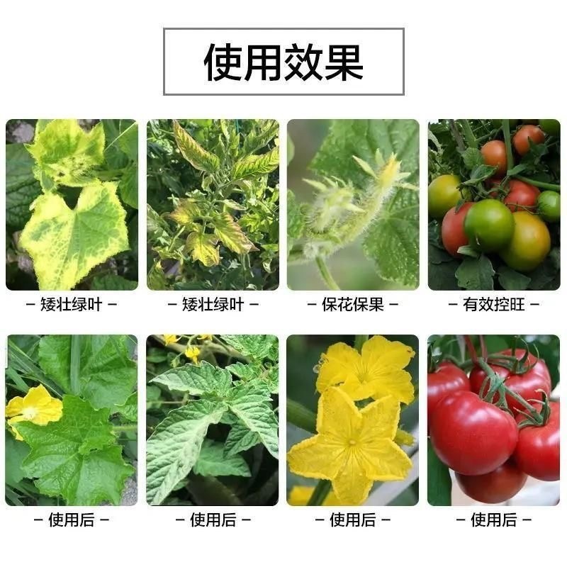 矮绿壮平衡生长调节生长控制旺长肥料