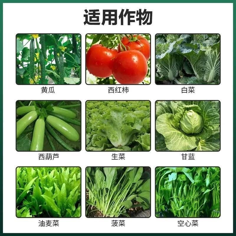 矮绿壮平衡生长调节生长控制旺长肥料