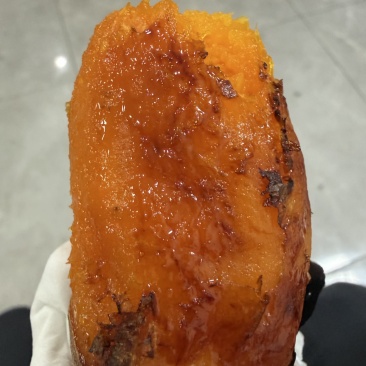 精品烟薯