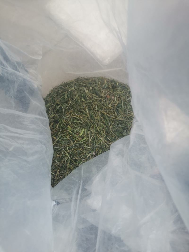 茶叶。黄山毛峰精品新货。诚信合作欢迎来电咨询