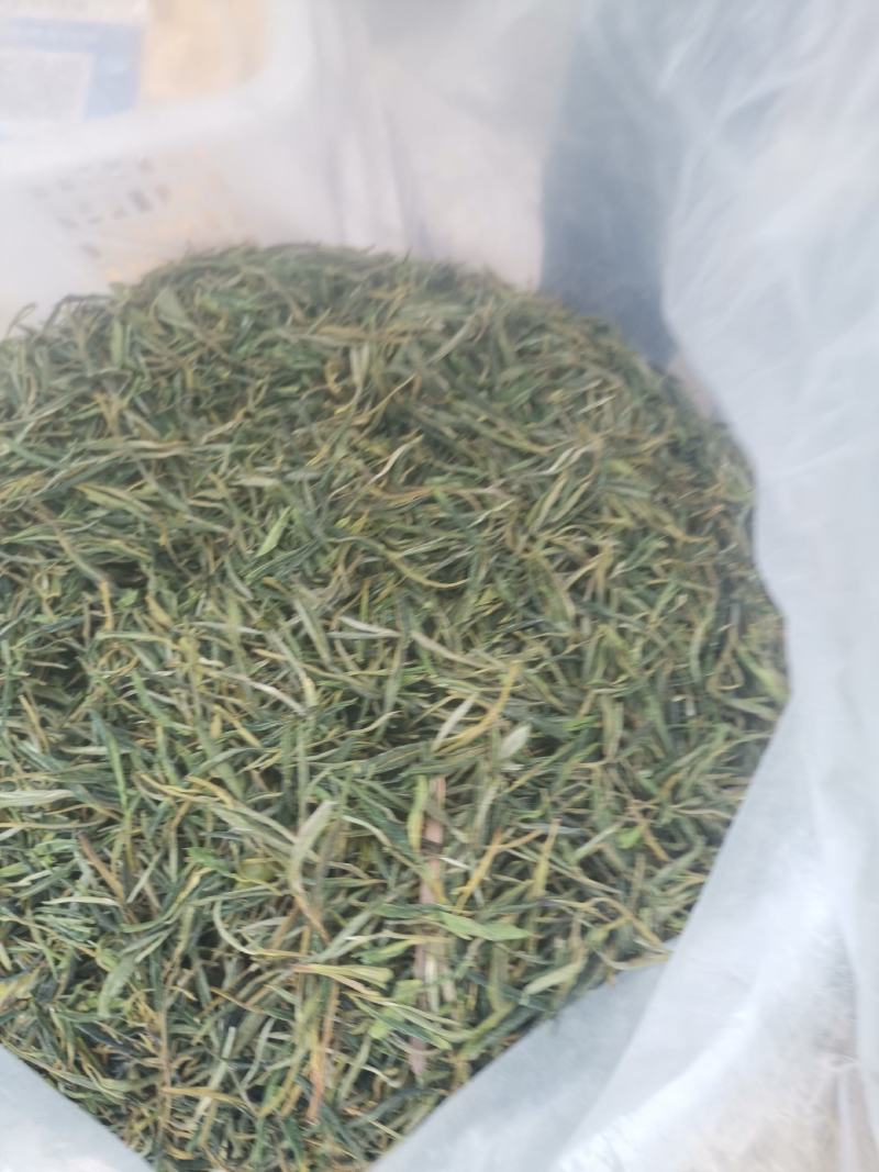 茶叶。黄山毛峰精品新货。诚信合作欢迎来电咨询