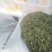 茶叶。黄山毛峰精品新货。诚信合作欢迎来电咨询