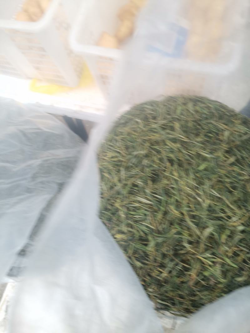 茶叶。黄山毛峰精品新货。诚信合作欢迎来电咨询