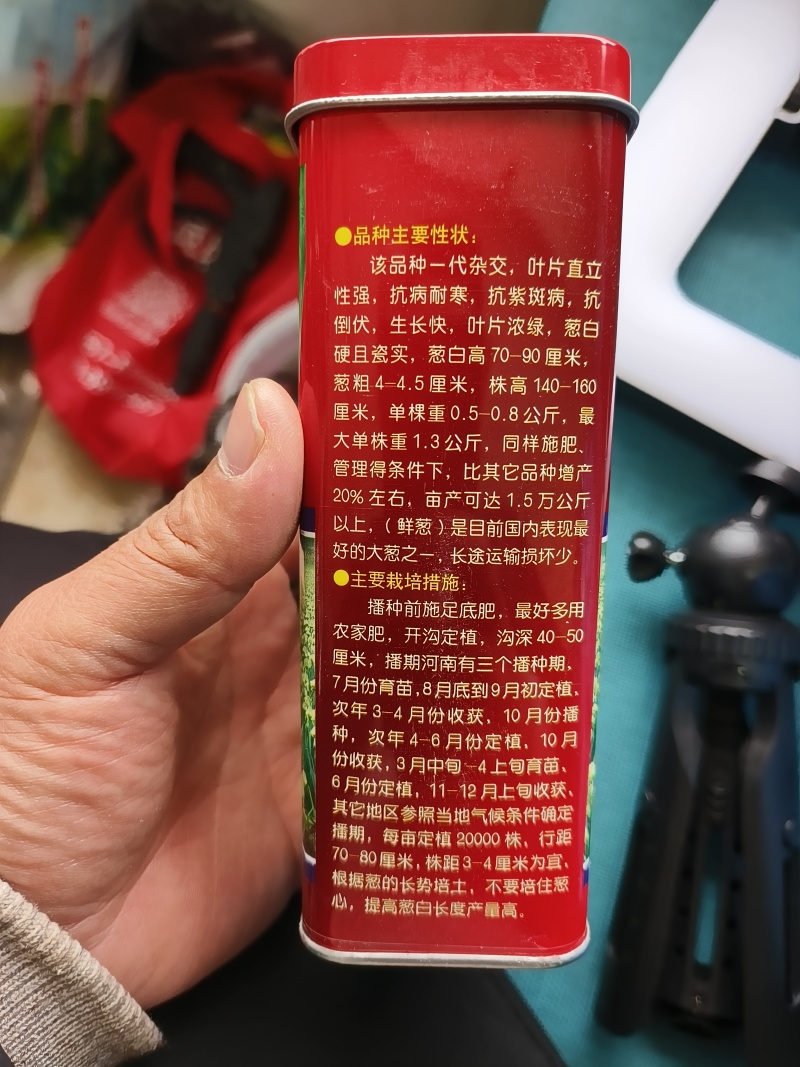 铁杆葱杂交品种抗病耐寒葱白硬且瓷实叶片直立、