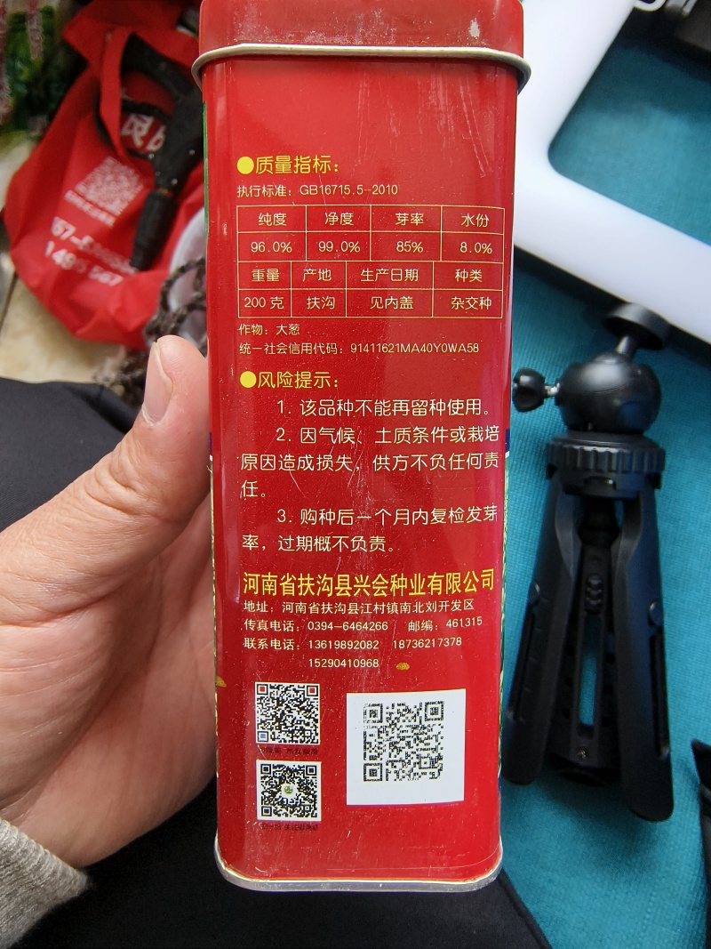 铁杆葱杂交品种抗病耐寒葱白硬且瓷实叶片直立、