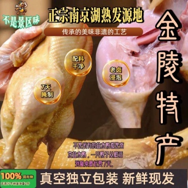 【热销】南京特产盐水鸭熟食卤菜礼盒实力厂家招大区代理