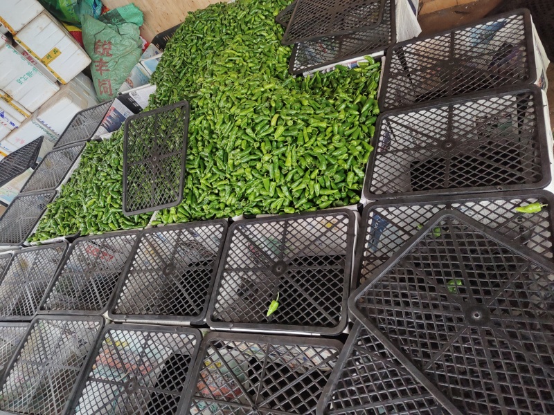 徐闻辣椒余干椒爆辣特辣新鲜自种农家小辣椒
