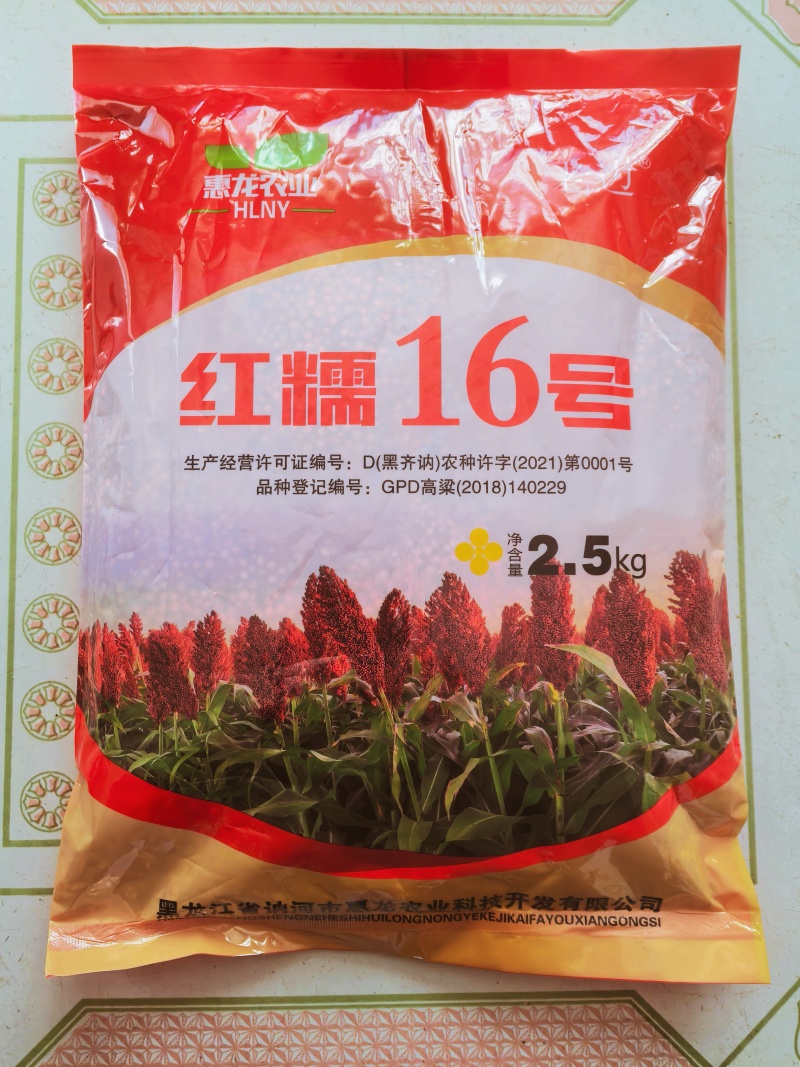 红糯16号高粱种子矮秆酿酒高产新品种红糯16号高粱种子