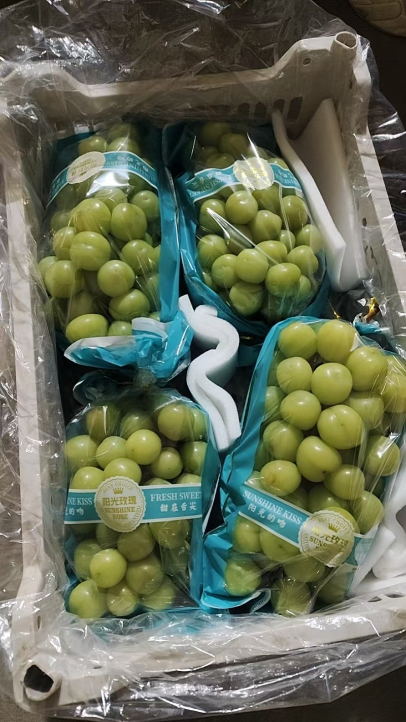 精品阳光玫瑰一手货源全国发货量大价优欢迎随时联系