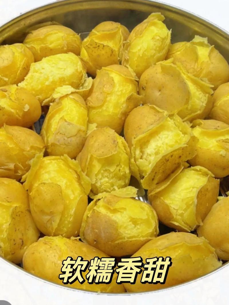 2025新鲜甘肃定西黄皮黄心土豆净重包邮粉面洋芋马铃薯
