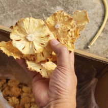 广西玉林市精品无任何添加烘干菠萝干货源充足欢迎订购。
