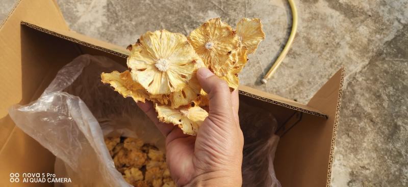 广西玉林市精品无任何添加烘干菠萝干货源充足欢迎订购。