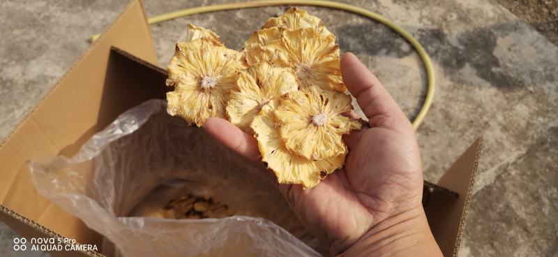 广西玉林市精品无任何添加烘干菠萝干货源充足欢迎订购。