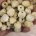 白莲子精品，莲子大量有货，颗粒饱满肉厚，无硫不染色