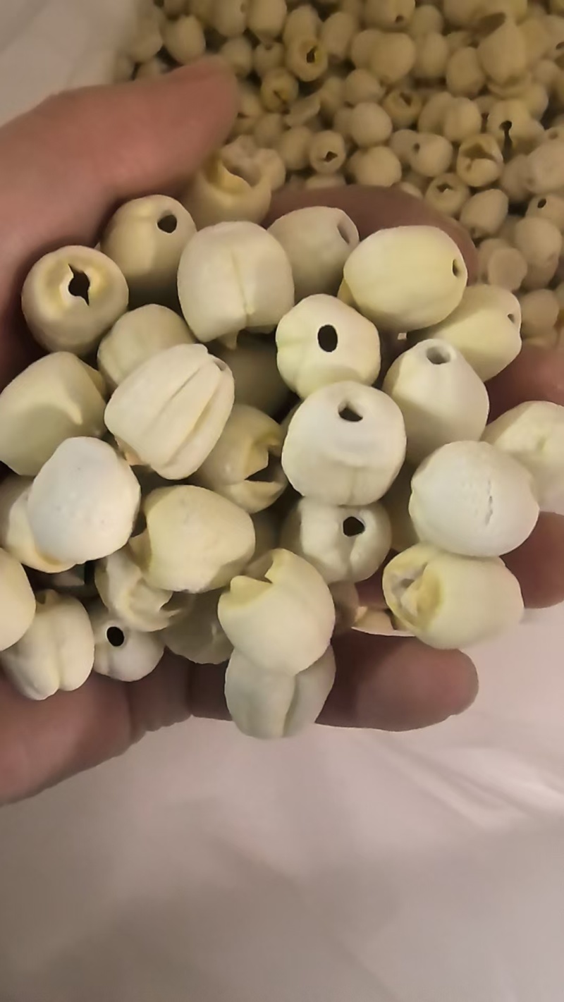 白莲子精品，莲子大量有货，颗粒饱满肉厚，无硫不染色