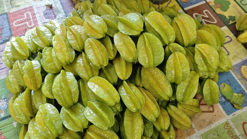 香密杨桃