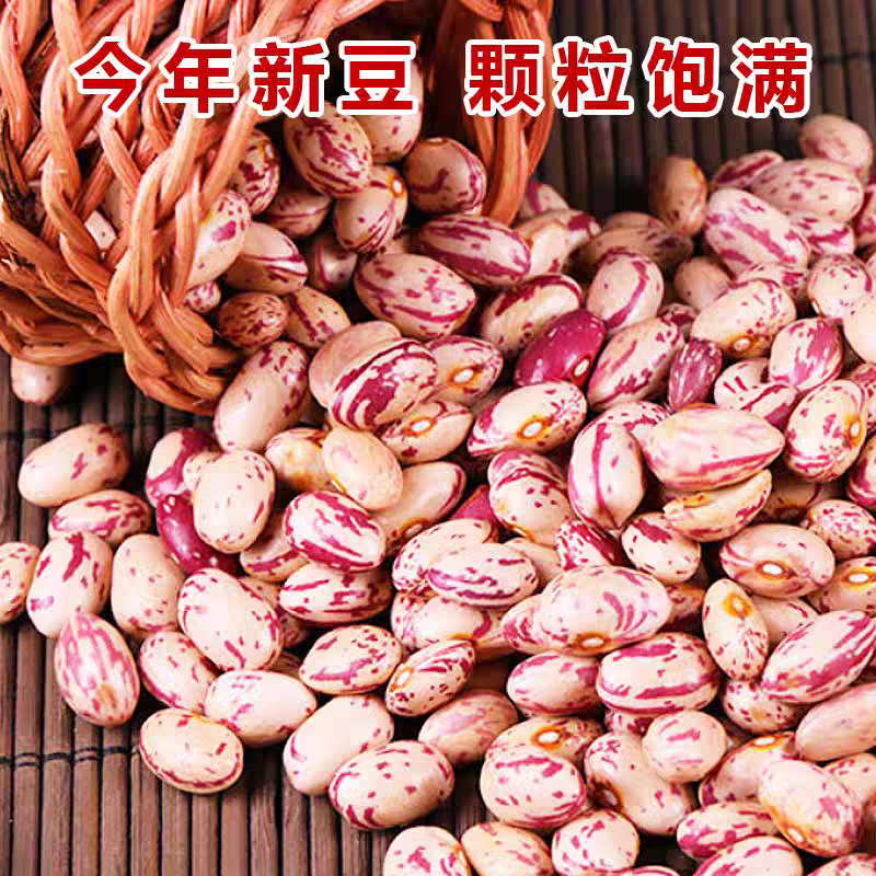 天源一号雀蛋豆外型美观营养丰富是理想的食米豆类