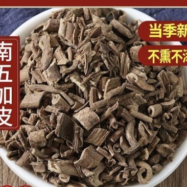 五加皮南五加皮切段干净无杂质批发零售量大从优