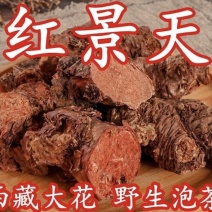 红景天大花红景天切片批发零售量大从优