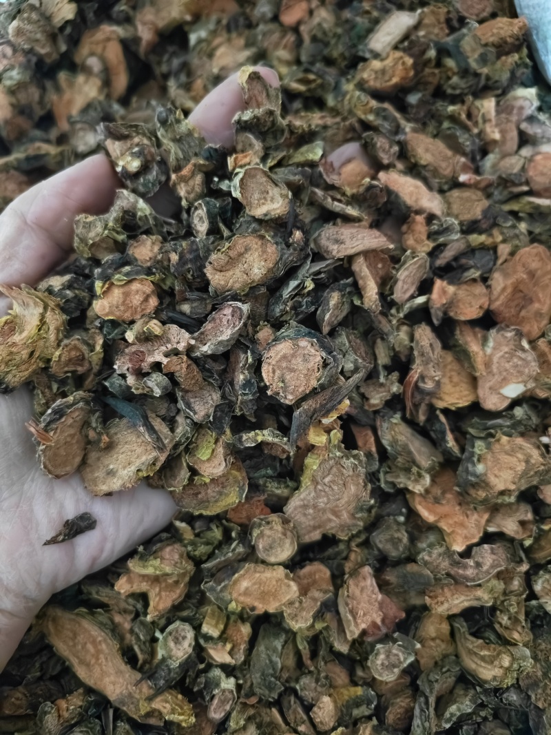 红景天大花红景天切片批发零售量大从优
