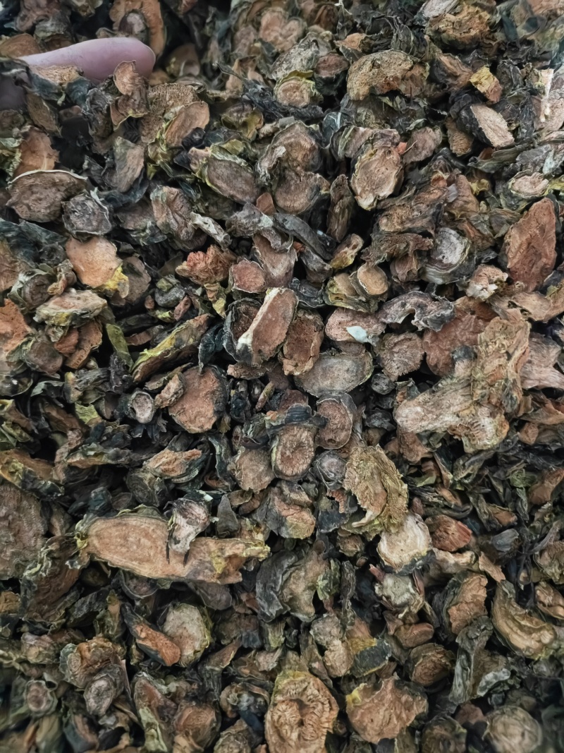 红景天大花红景天切片批发零售量大从优
