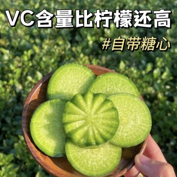 正宗水果萝卜，味美多汁，货好，价不高，全国发货，欢迎进店
